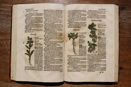 Das Kräuterbuch des Eucharius Rösslin