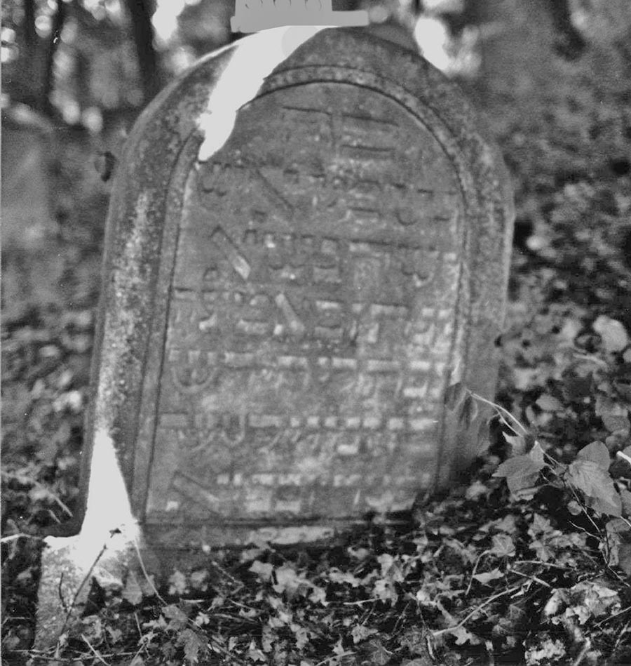 Grabstein für Naphtali Hirsch, verstorben am 3.12.1699, auf dem jüdischen Friedhof von Wertheim. Dertingen wird im Zusammenhang mit dem Vater des Verstorbenen erwähnt. [Quelle: Landesarchiv BW, StAL EL 228 b II Nr 51720, Grabstein 366]