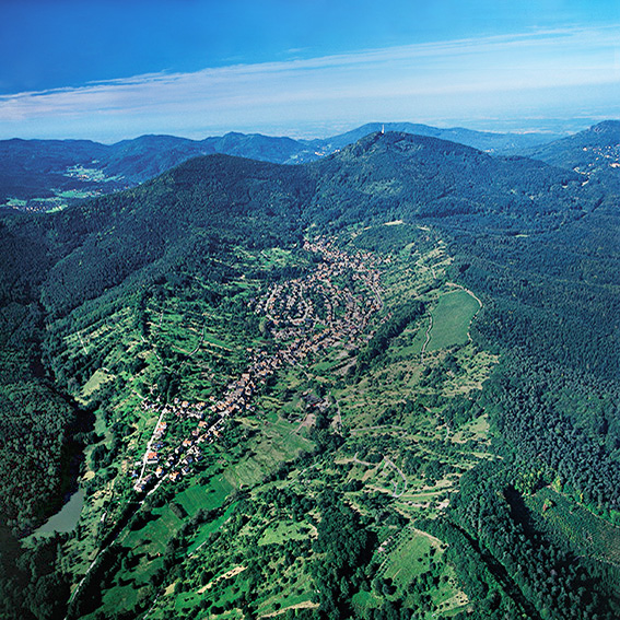 Nördlicher Talschwarzwald