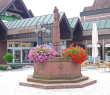 Zunftbrunnen auf dem Bürgermeister-Schmider-Platz