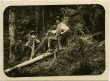 Holzfäller aus Reichenbach