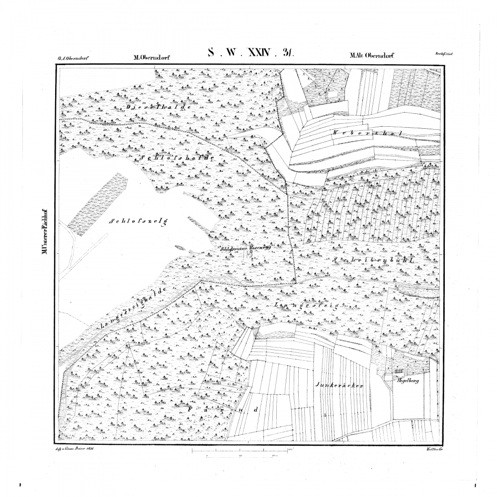 Kartenblatt SW XXIV 31 Stand 1836 (Am grünen Berg, Oberndorf am Neckar, Hegelberg, Oberndorf am Neckar, Unteraichhof, Staatsdomäne, Webertal)