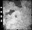 Luftbild: Film 61 Bildnr. 63: Riedhausen
