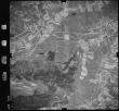 Luftbild: Film 1 Bildnr. 7: Auenwald