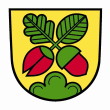Wappen von Lichtenwald