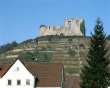 Ruine Altsachsenheim in Sachsenheim 1996