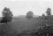 Auf der Eninger Weide (Alb) 1909