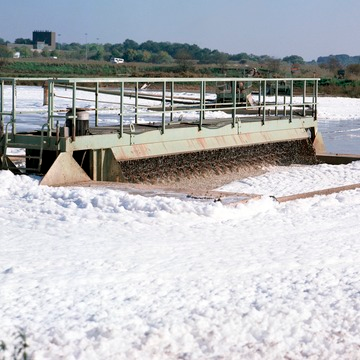 Klärsee der Zuckerfabrik Offenau 1993
