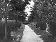 Dettingen an der Erms: Friedhof 1931