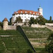 Burg Kaltenstein bei Vahingen/Enz 2000