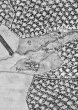 Stuttgart - Büsnau: Bisnawerhoff aus der Kieserschen Forstkarte Nr. 191 aus dem Leonberger Forst 1682
