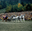 Hengstparade im Gestüt Marbach 1973