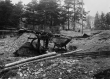 Althengstett: Randbereich eines stillgelegten Steinbruchs 1939