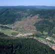 Höfen an der Enz: Tal mit kahlen Flächen nach Tornado, Luftbild 1987