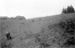 Trift auf der Adelegg 1911