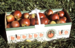 Äpfel im Korb 1987