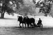 Mudau-Waldleiningen: Mit Pferden bespannte Mähmaschine im Schlosspark Waldleinigen 1958