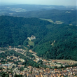 Waldkirch aus der Luft 1998