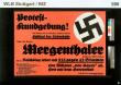Protest-Kundgebung! Redner: Pg. Professor Mergenthaler ... Thema: Reichstag lehnt mit 513 gegen 42 Stimmen eine Diktatur 